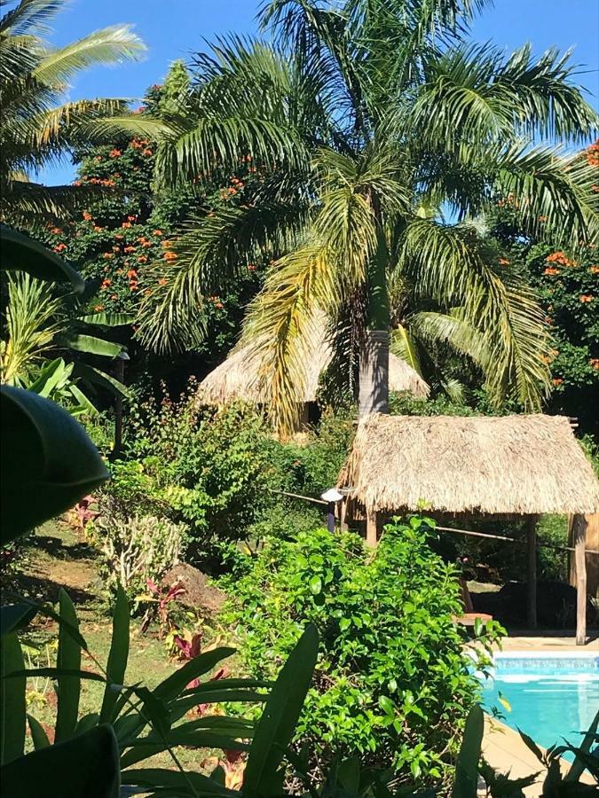 Palmlea Farms Lodge & Bures - Villas Labasa Extérieur photo